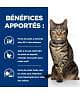 Chat Metabolic Poulet