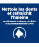 Chat T/D Dental