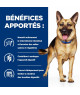 Chien Gastrointestinal Biome Poulet/Carotte