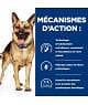Chien Gastrointestinal Biome Poulet/Carotte