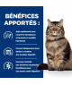 Chat Gastrointestinal Biome Poulet