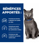 Chat D/D Canard et Petits Pois