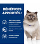 Chat R/D