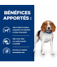Chien R/D Weight Poulet