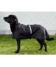 Manteau imperméable doublé pour chien Back On Track
