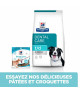 Chien T/D Dental