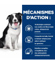 Chien T/D Dental