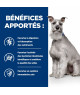 Chien I/D Low Fat Digestive Care Activ Biome+ Poulet