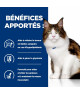 Chat W/D Multi Benefit Poulet