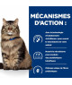Chat Gastrointestinal Biome Mijotés Poulet & Légumes