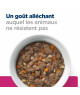 Chat Gastrointestinal Biome Mijotés Poulet & Légumes