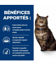 Chat K/D Early Stage Poulet Sachet Repas