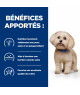 Chien Z/D Food Sensitivities Mini