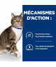 Chat S/D Urinary Poulet