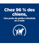 Chien Metabolic Boîte