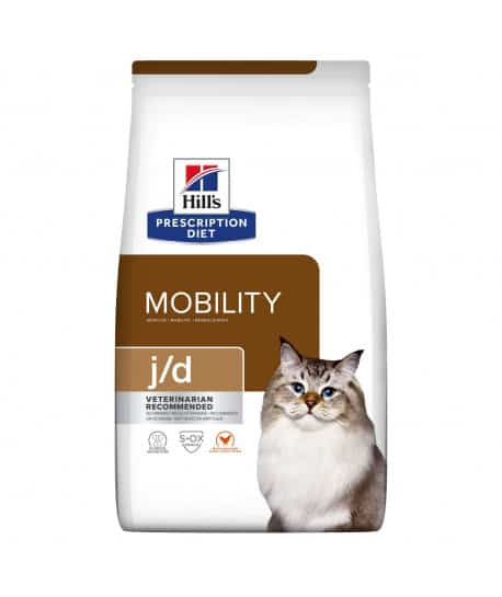 Chat J/D