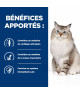 Chat J/D