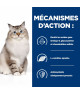 Chat J/D