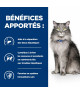 Chat L/D