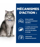 Chat L/D