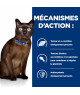 Chat M/D
