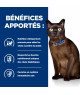 Chat M/D