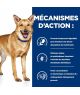 Chien I/D Digestive Care Dinde Boîte