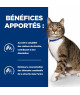 Chat S/D Urinary Poulet