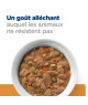 Chien K/D Kidney Mijotés Poulet & Légumes