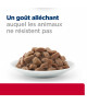 Chat C/D Urinary Stress + Metabolic Sachet Repas