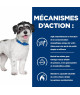 CHIEN J/D METABOLIC+MOBILITY MINI