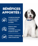 Chien C/D Urinary Multicare