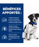Chien I/D Digestive Care Stress Mini
