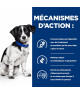 Chien I/D Digestive Care Stress Mini