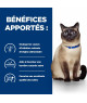 Chat Z/D Food Sensitivities