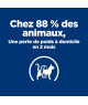Chat Metabolic Poulet