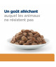 Chat K/D + Mobility Poulet Sachet Repas
