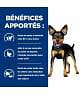 Chien Metabolic Mini Poulet