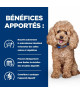 Chien Gastrointestinal Biome Mini Poulet