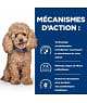 Chien Gastrointestinal Biome Mini Poulet