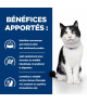 Chat I/D Digestive Care Activ Biome+ Mijotés