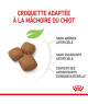 Royal Canin Dog Junior Giant