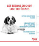 Royal Canin Dog Junior Giant