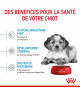 Royal Canin Dog Puppy Medium