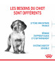 Royal Canin Dog Puppy Medium