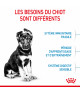 Royal Canin Dog Puppy Maxi