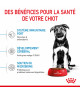 Royal Canin Dog Puppy Maxi