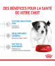 Royal Canin Dog Puppy Mini