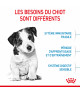 Royal Canin Dog Puppy Mini