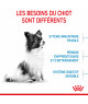 Royal Canin Dog Puppy X-Small